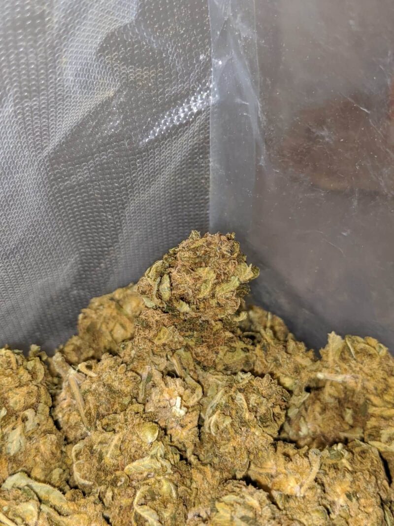 Sour Bubba Bulk Special - Image 4