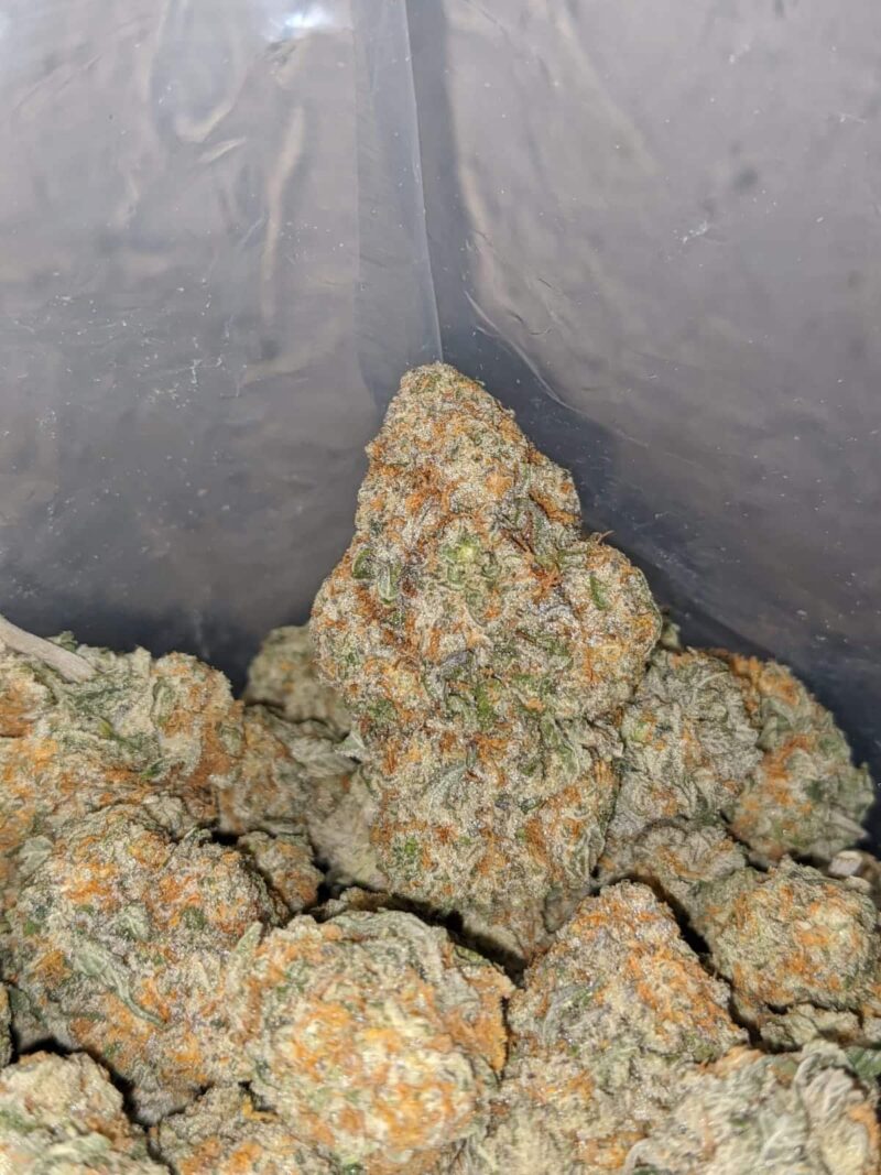 Sour OG - Image 5