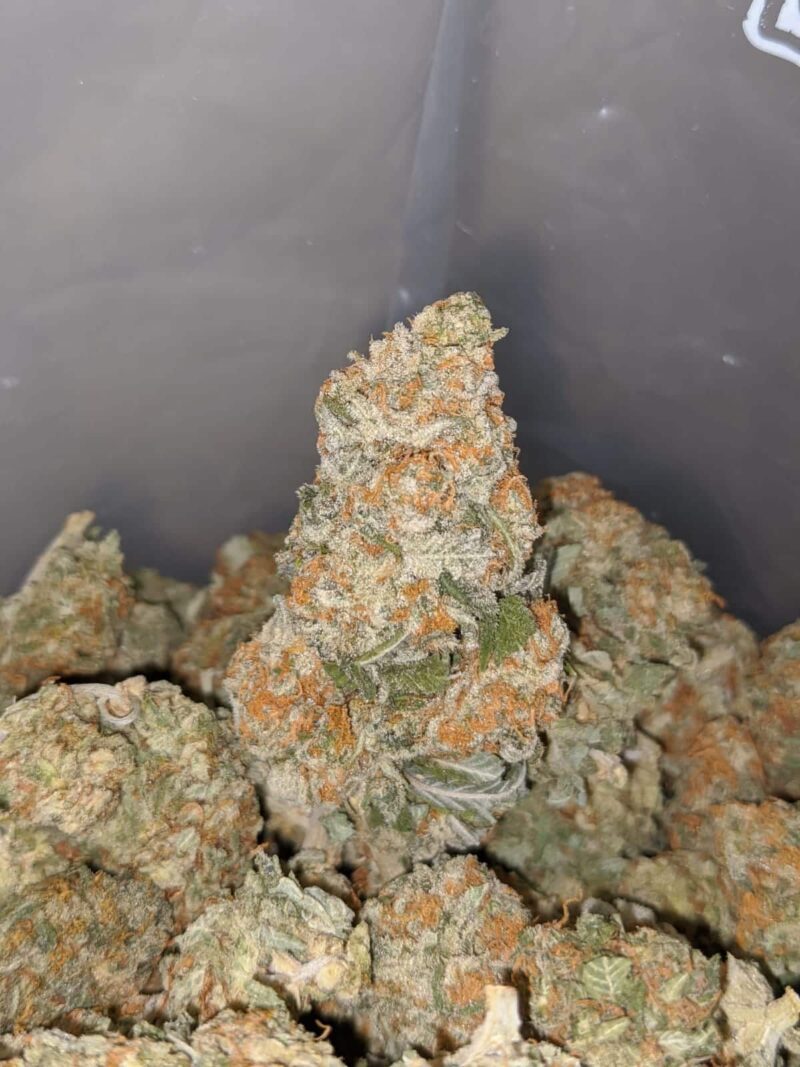 Sour OG Kush - Image 7