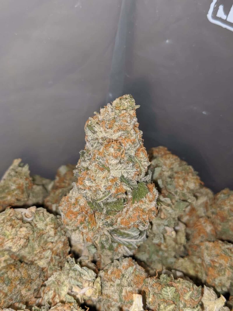 Sour OG Kush - Image 6