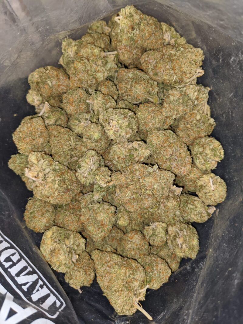Sticky Icky - Image 5
