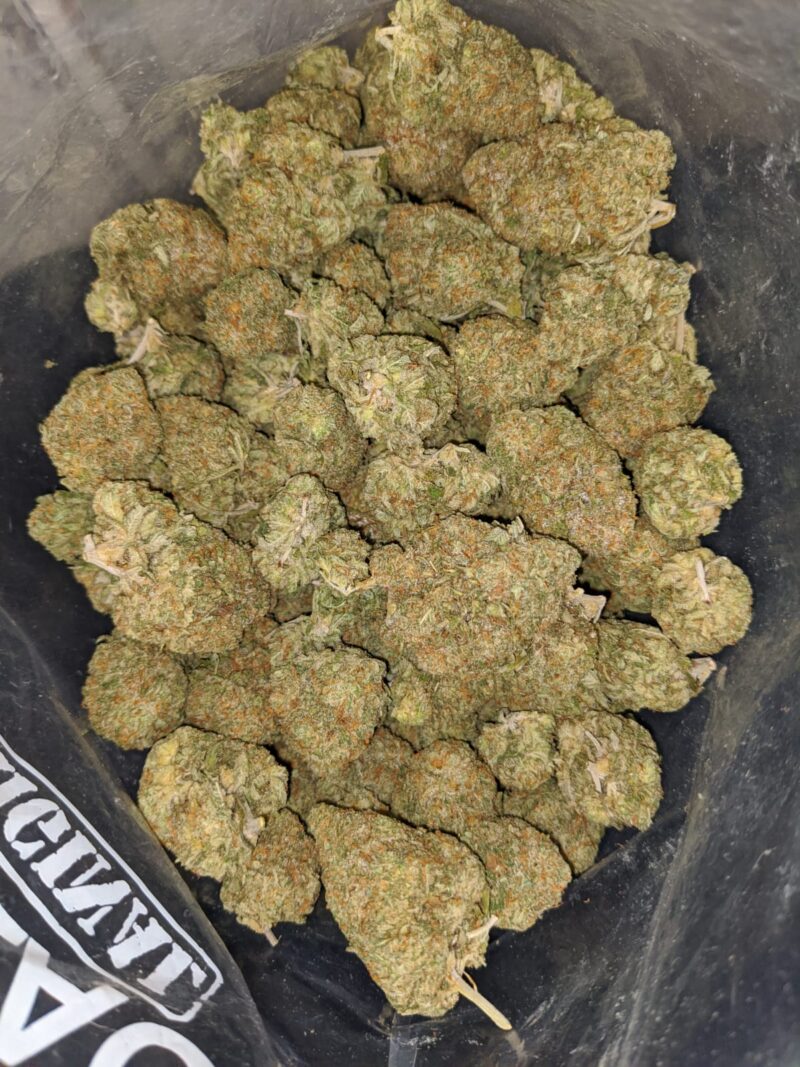 Sticky Icky - Image 4