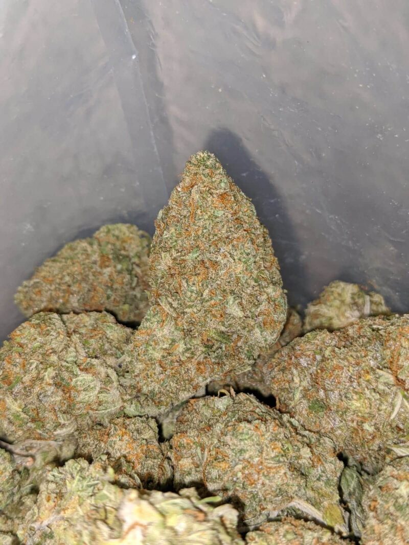 Sticky Icky - Image 7