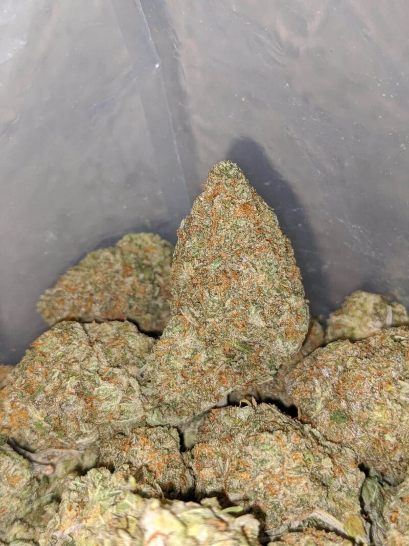 Sticky Icky - Image 6