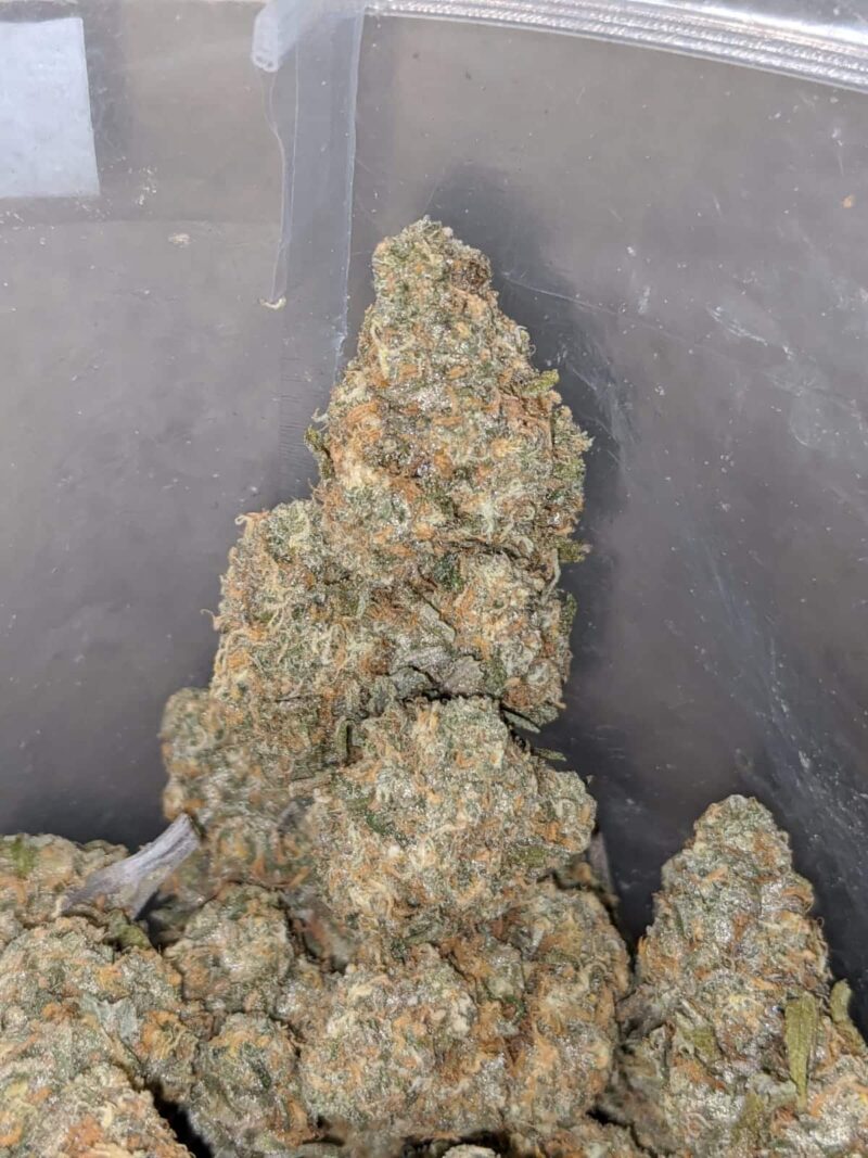 Strawberry Banana - Image 7
