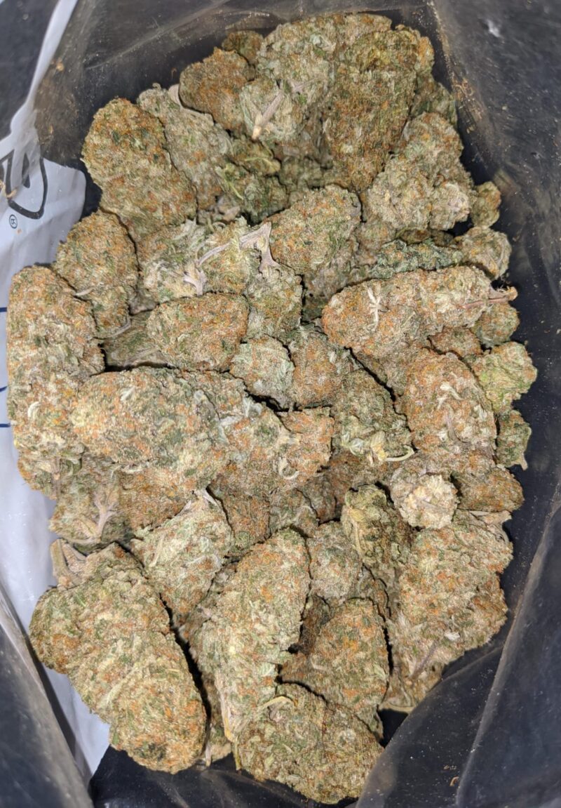Sugar Cane – *Deal Of The Day* - Image 6