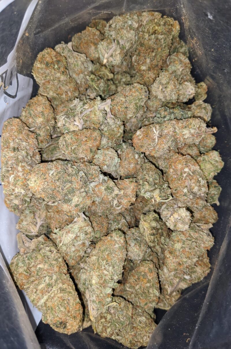 Sugar Cane – *Deal Of The Day* - Image 5