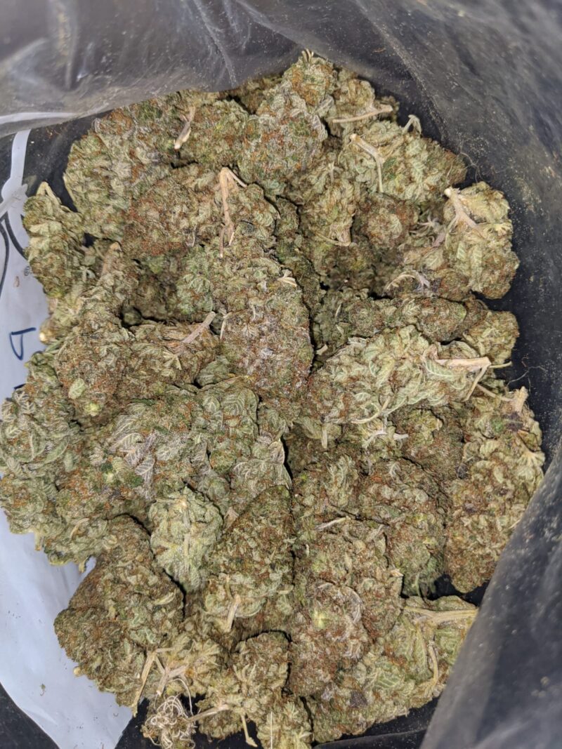 Sugar Shack – *Deal Of The Day* - Image 5