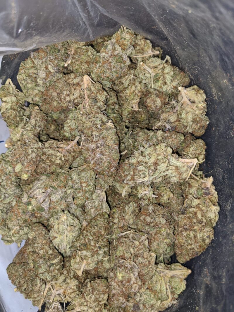 Sugar Shack – *Deal Of The Day* - Image 4