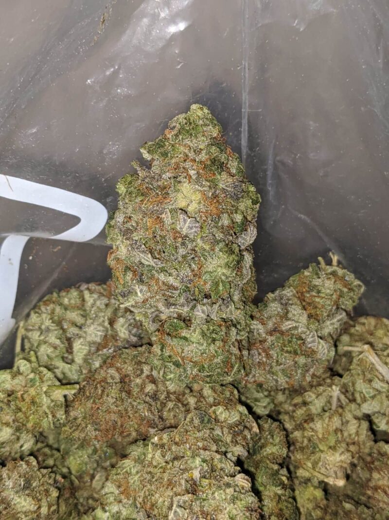 Sugar Shack – *Deal Of The Day* - Image 7