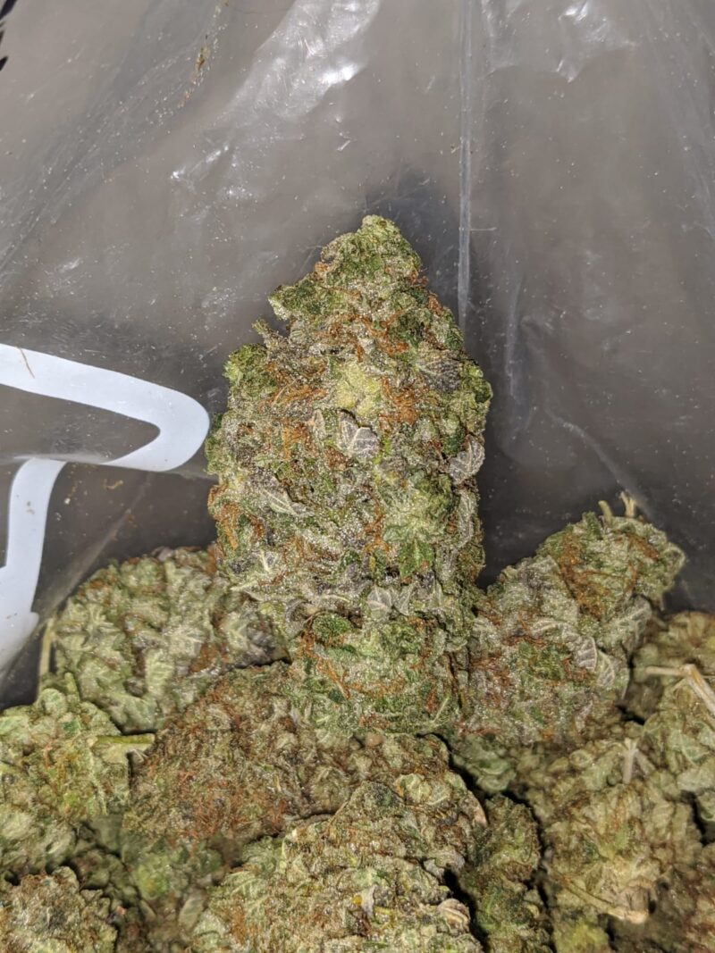 Sugar Shack – *Deal Of The Day* - Image 6