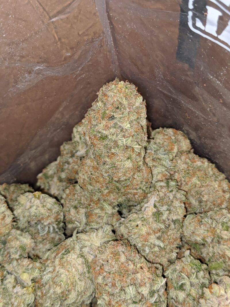 Sunset Cookies - Image 6
