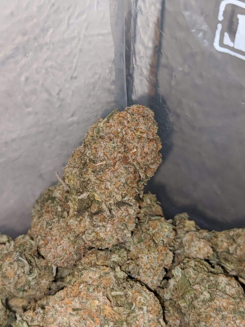 Select Nuken