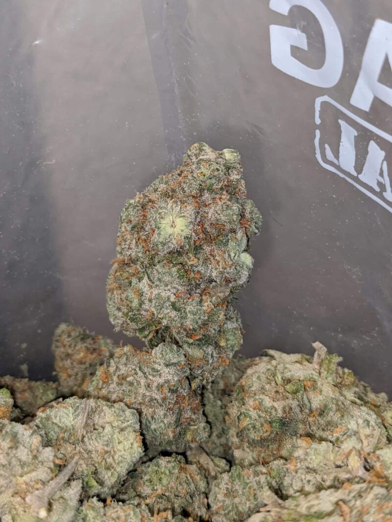 Super Silver Haze - Image 4