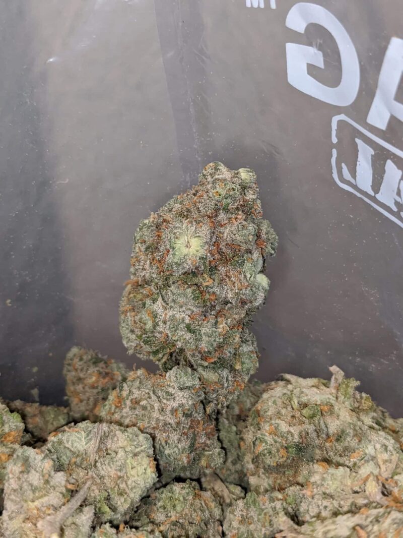 Super Silver Haze - Image 7