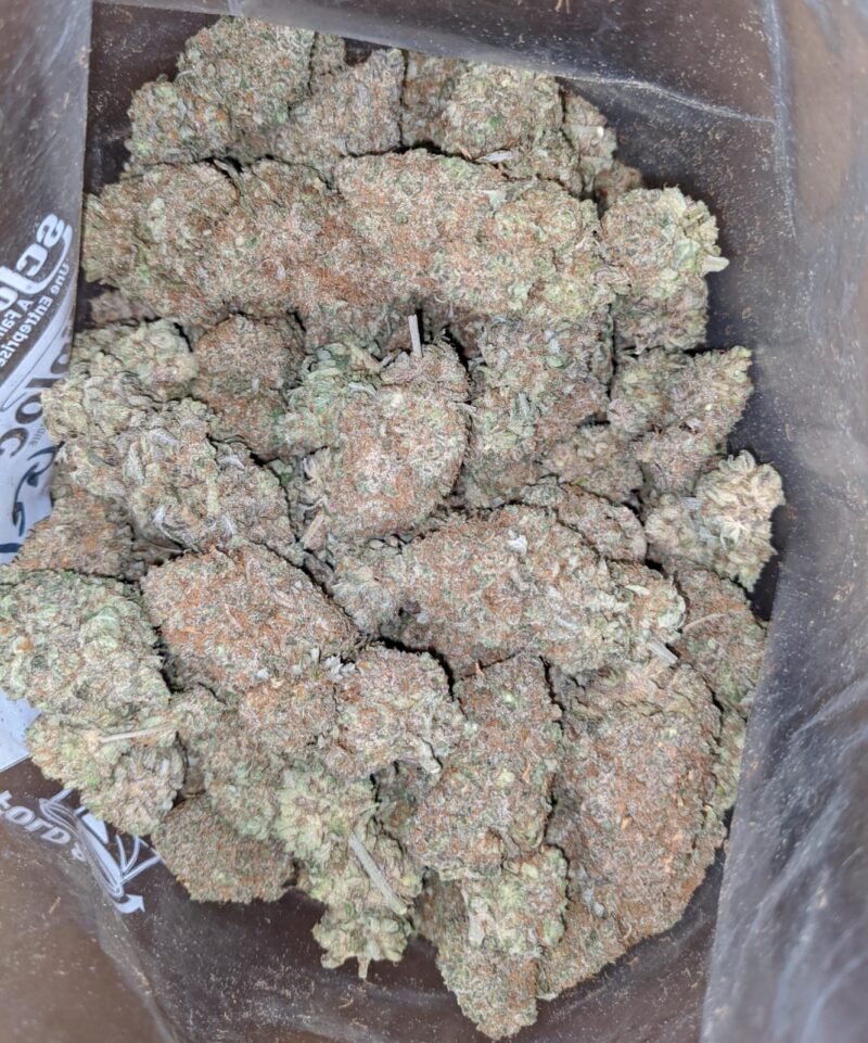 Sweet Berry - Image 5