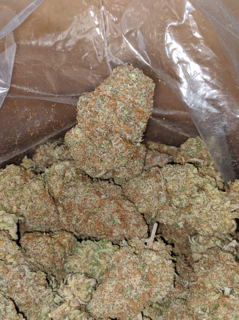 Sweet Berry - Image 7