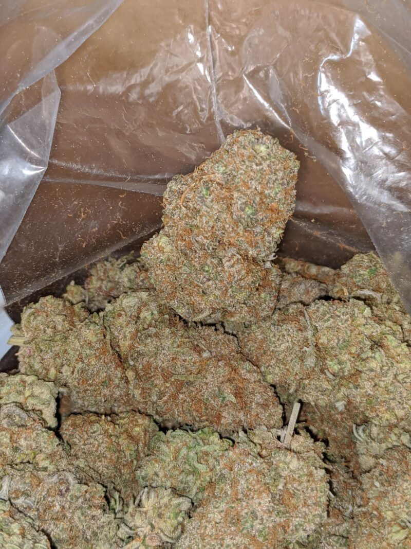 Sweet Berry - Image 6