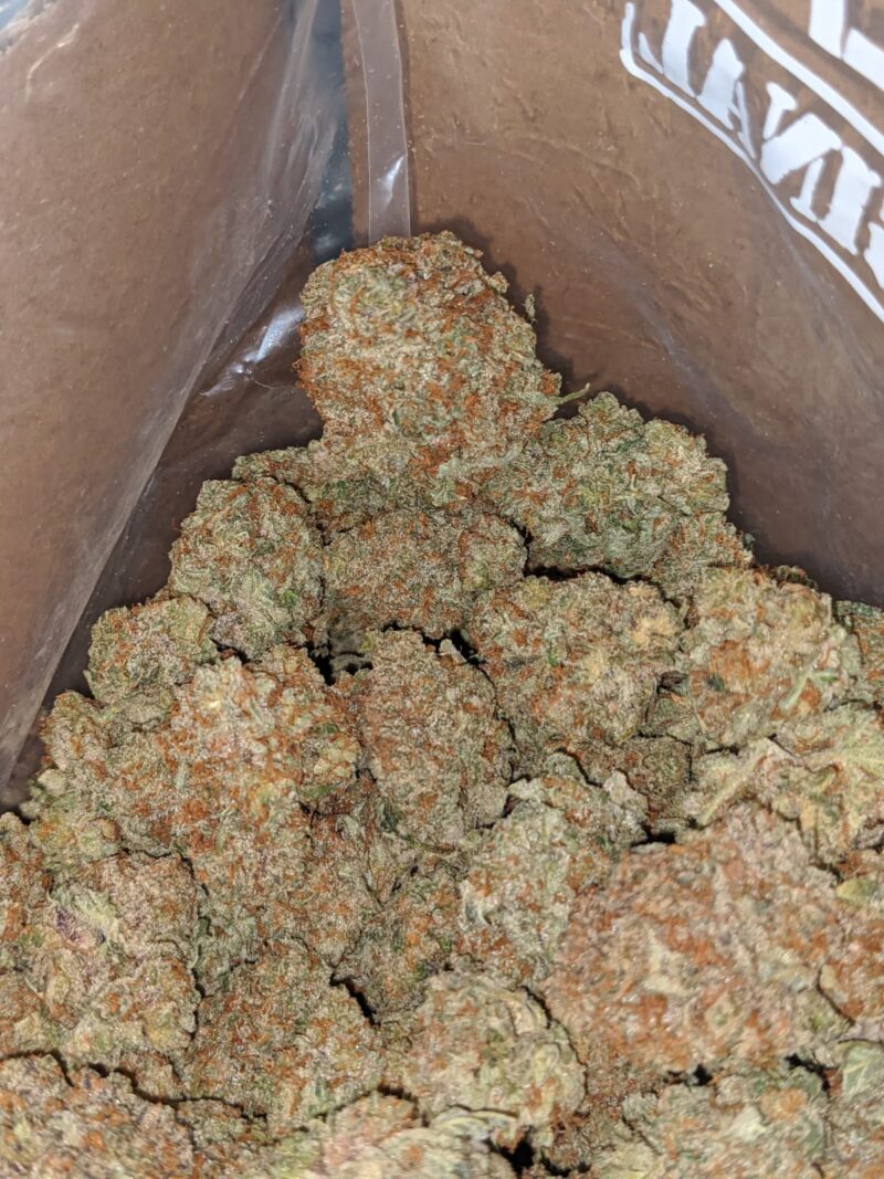 Sweet Grapefruit - Image 6