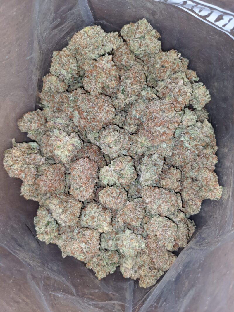 Sweet Grapefruit - Image 5