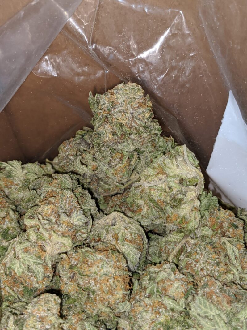 Sweet Tooth - Image 6