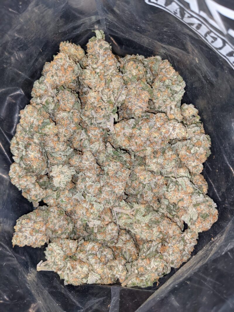 Tangerine Orange - Image 5