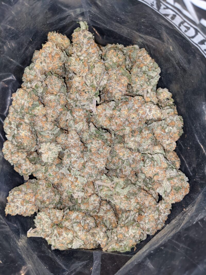 Tangerine Orange - Image 4