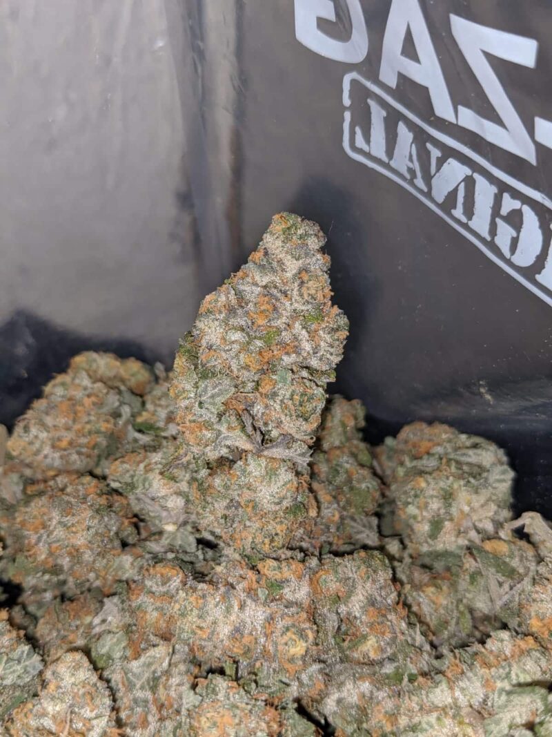 Tangerine Orange - Image 7