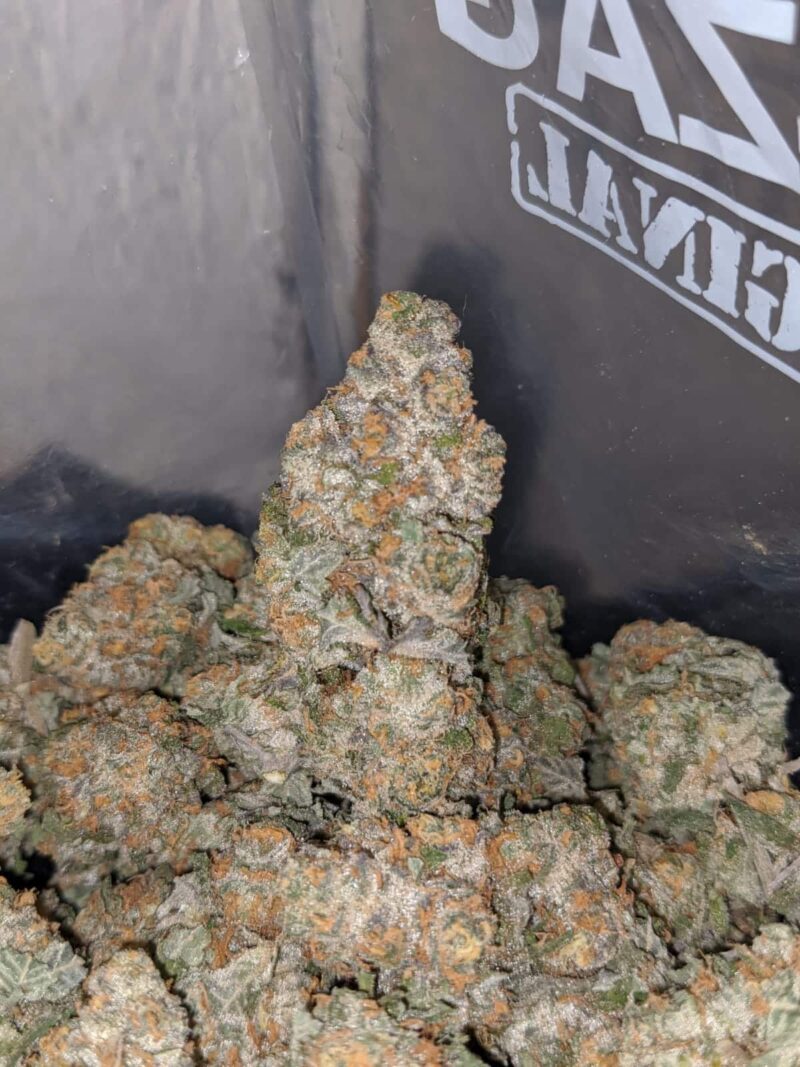Tangerine Orange - Image 6