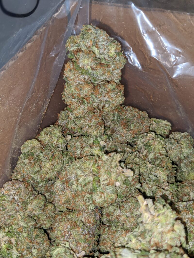Tony’s Bruce Banner - Image 7