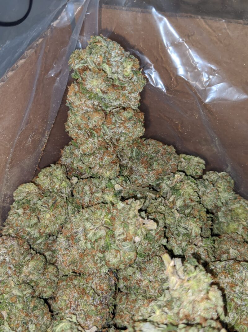 Tony’s Bruce Banner - Image 6