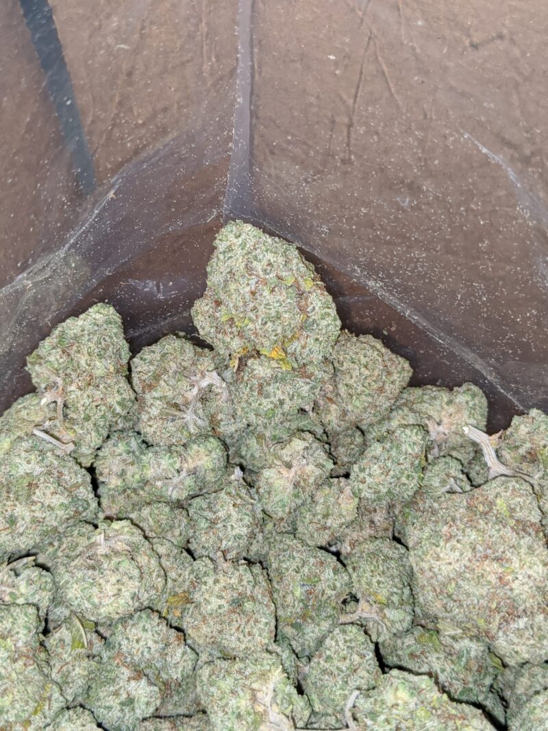 Thin Mints - Image 5