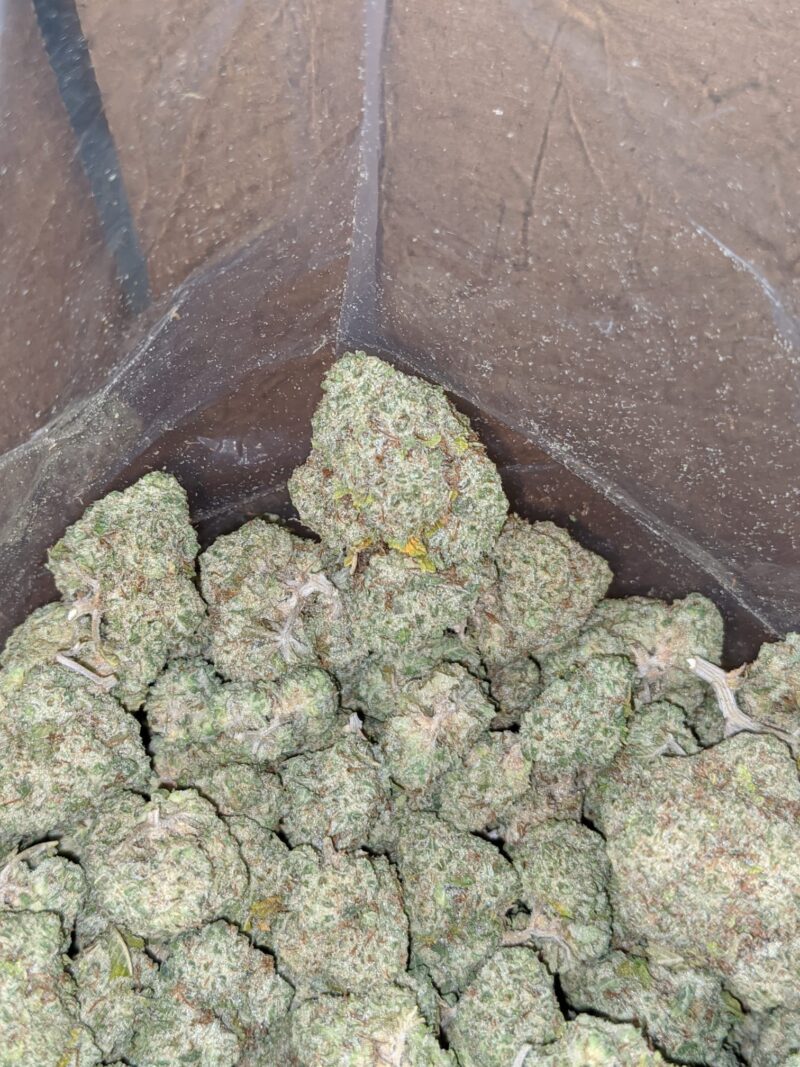 Thin Mints - Image 4