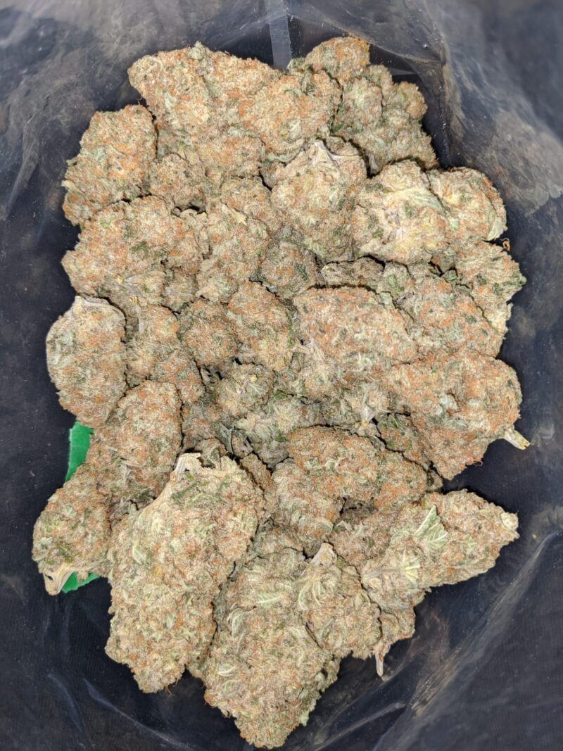Thin Mint Girl Scout Cookies - Image 5