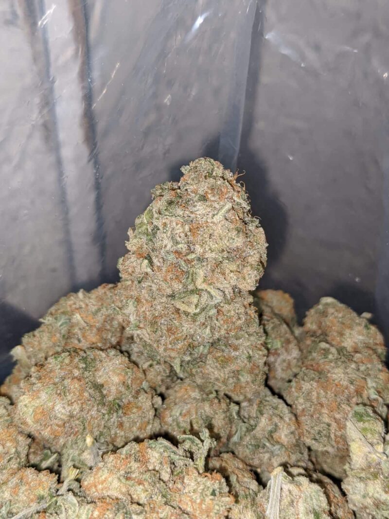Thin Mint Girl Scout Cookies - Image 6