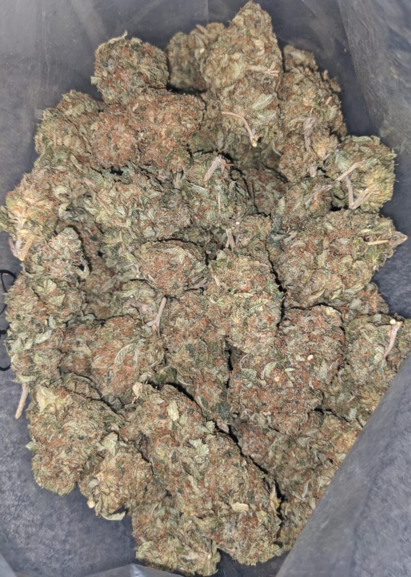 Tony’s Lindsay OG – *Deal Of The Day* - Image 5