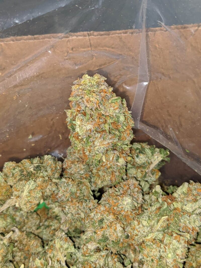 Tony’s Bubba Kush - Image 7
