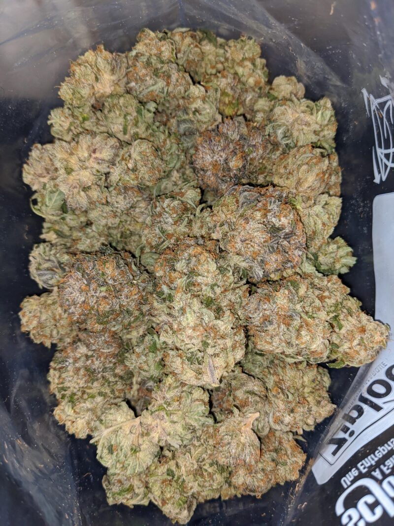Tony’s Holy Grail