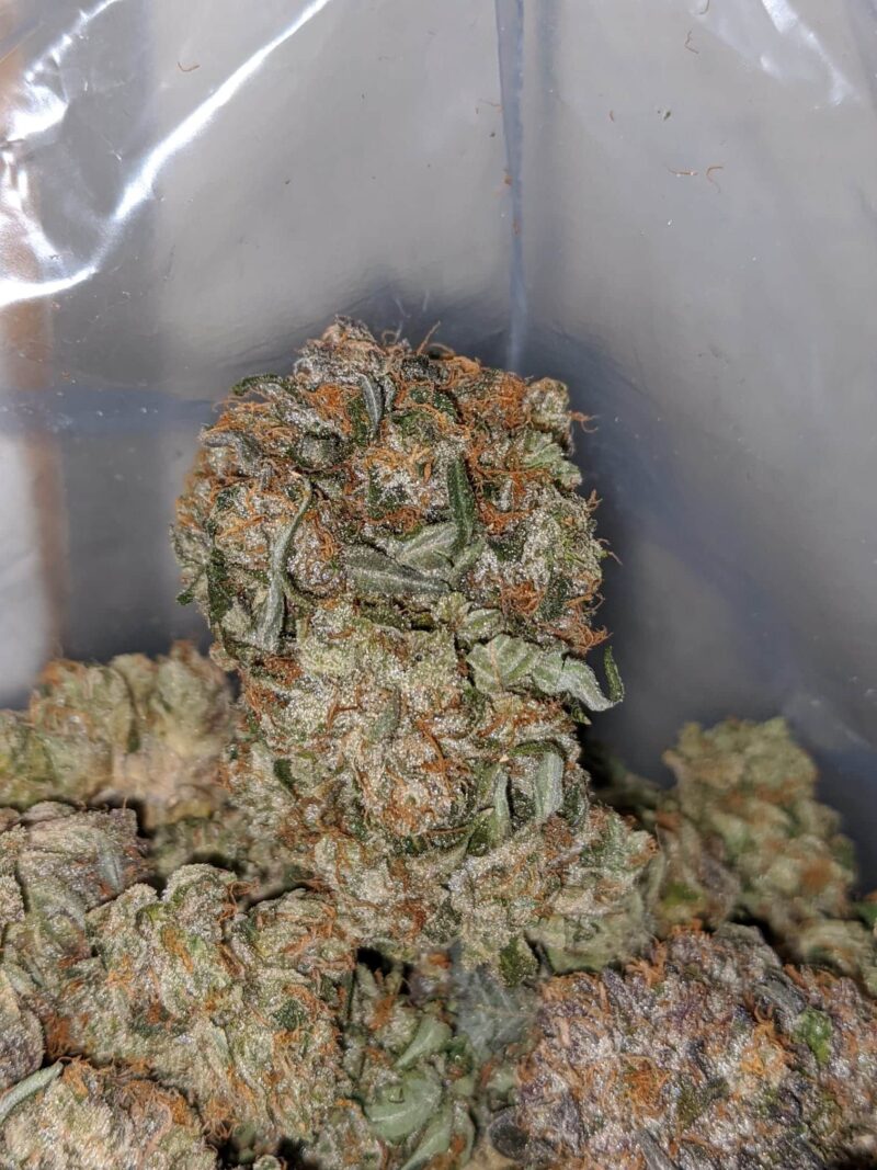 Tony’s Holy Grail - Image 5
