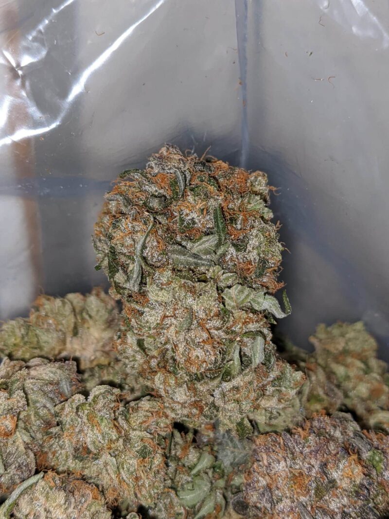 Tony’s Holy Grail - Image 4