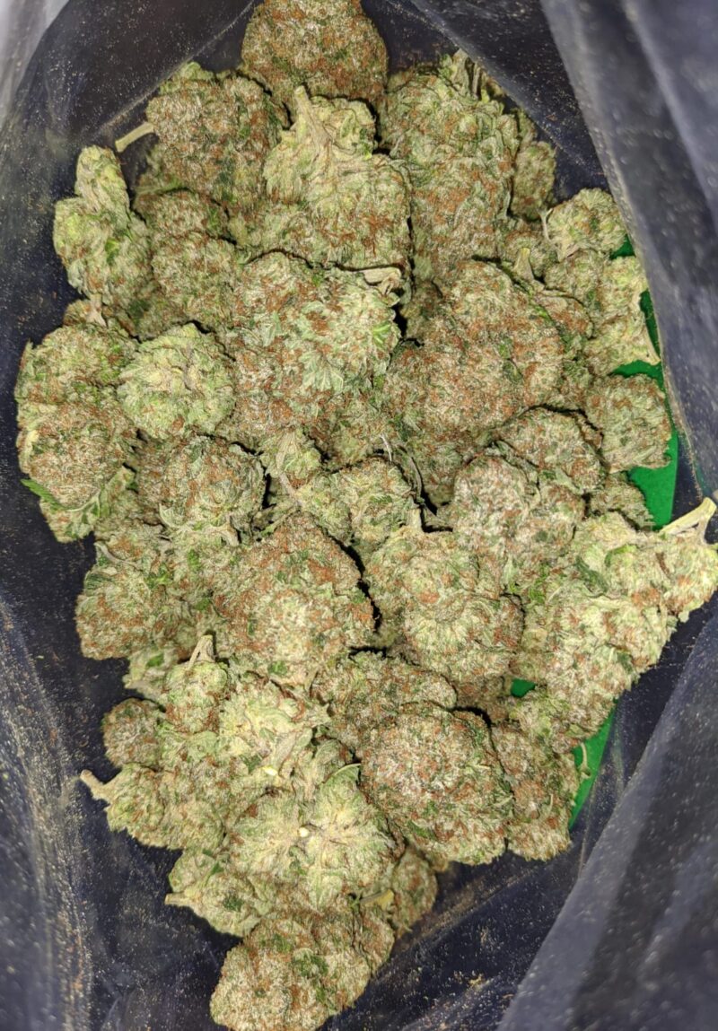 Tony’s King Louis - Image 7