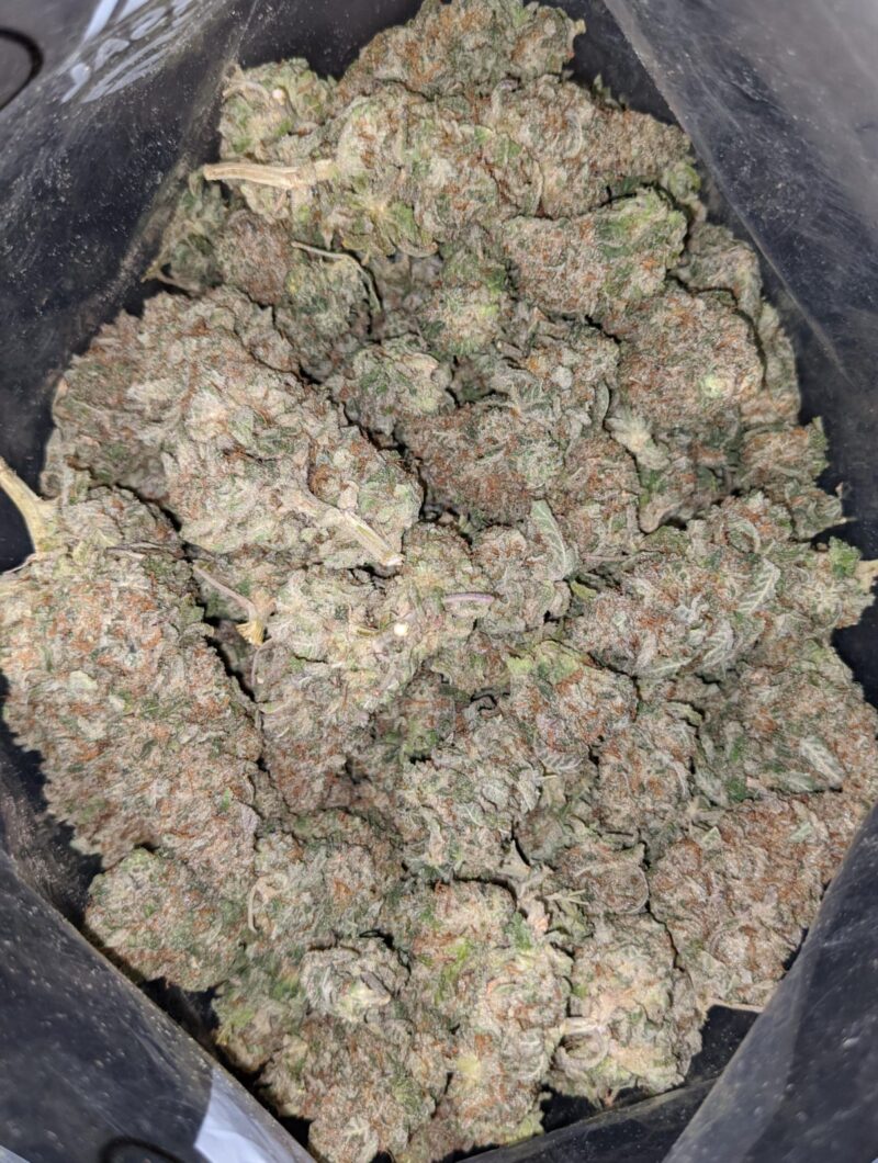 Tony’s Miracle Alien Cookies - Image 4