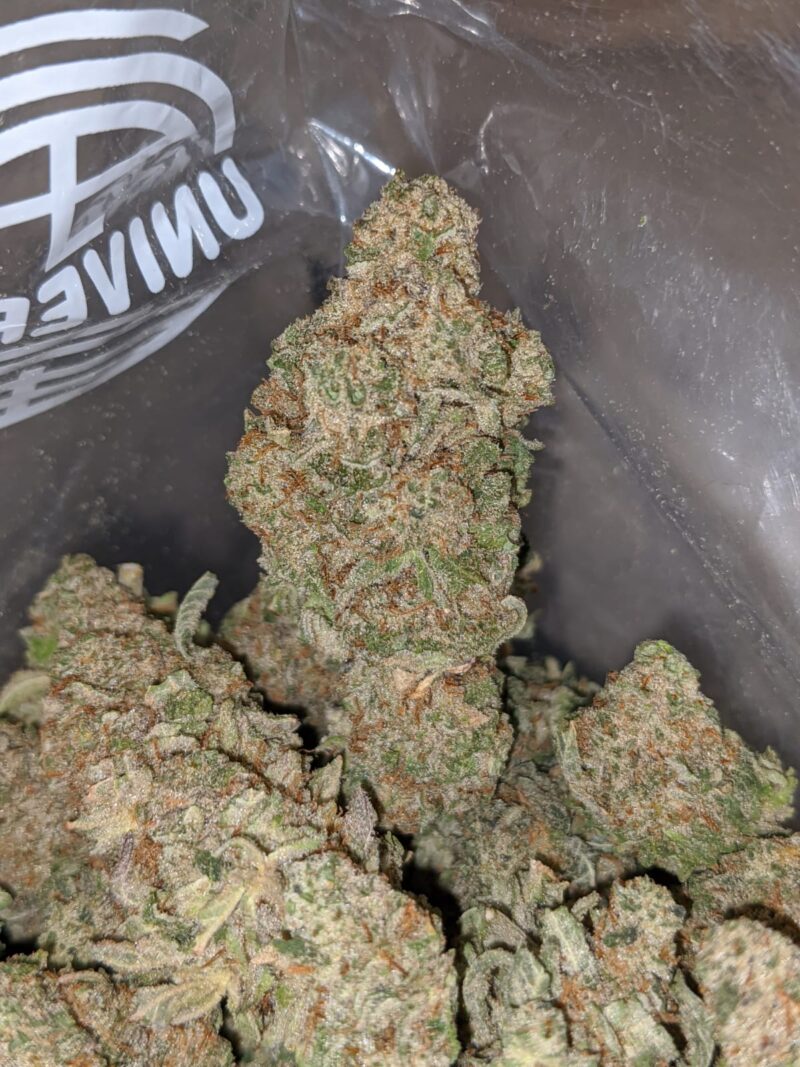 Tony’s Miracle Alien Cookies - Image 7