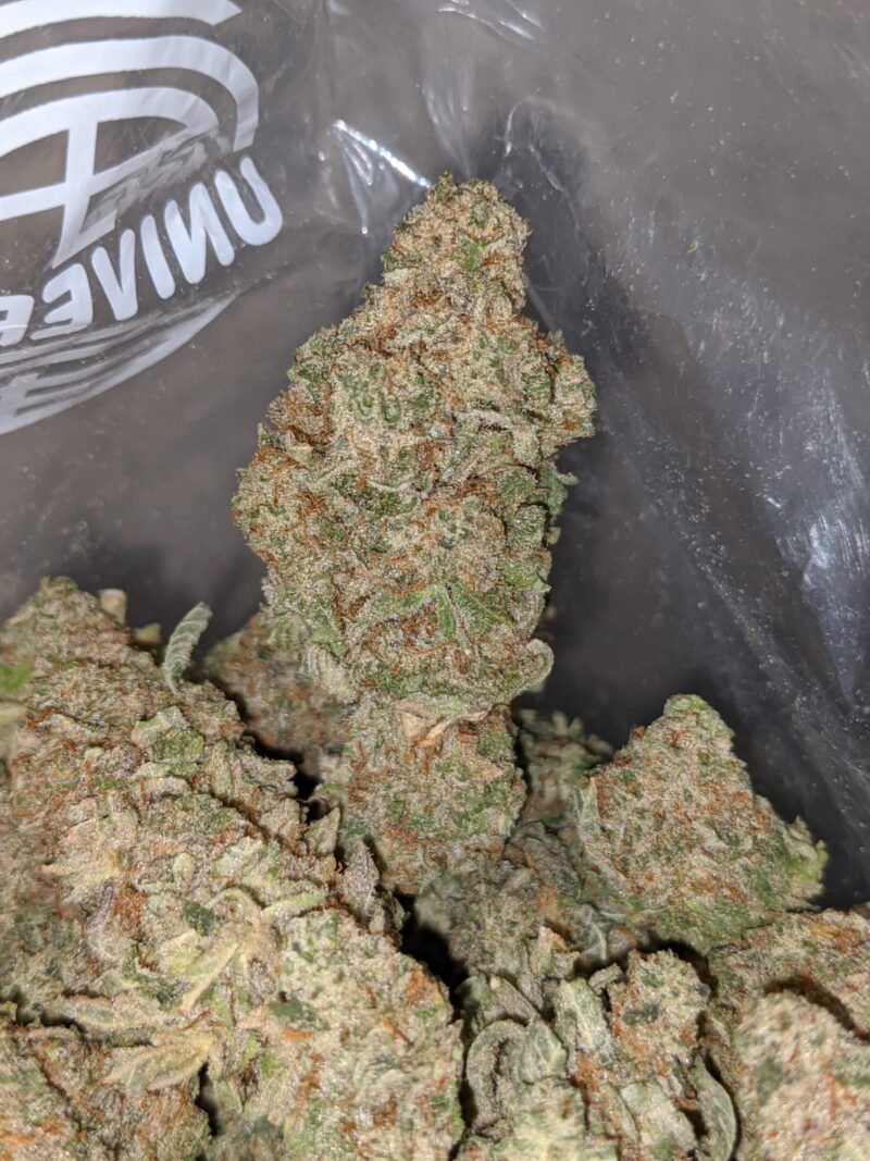 Tony’s Miracle Alien Cookies - Image 6