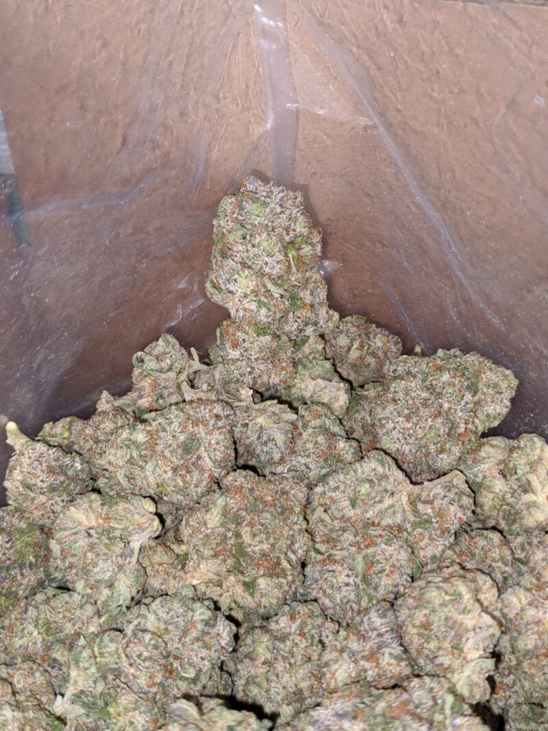 Tony’s Pink Rockstar - Image 5
