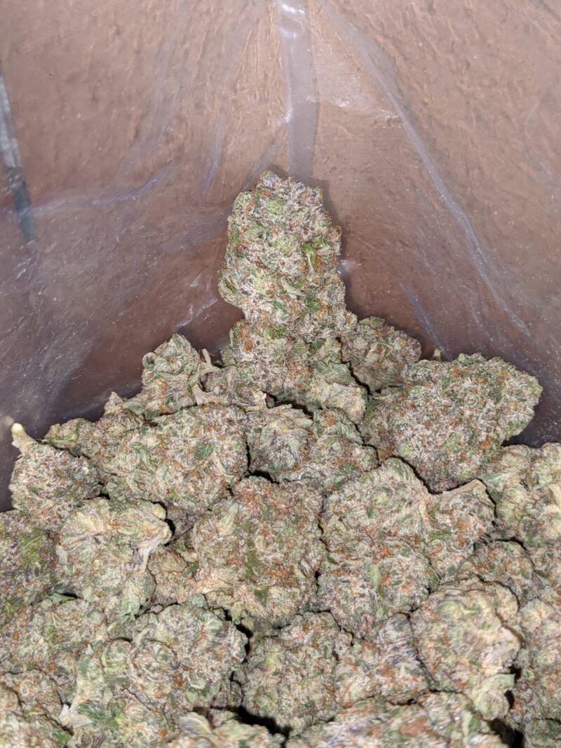 Tony’s Pink Rockstar - Image 4