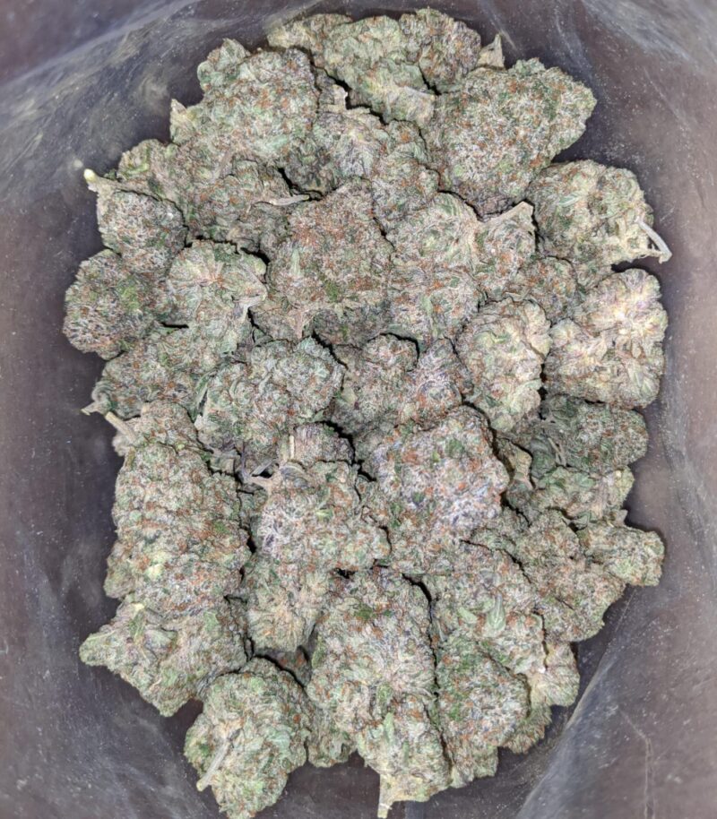 Tony’s Pink Rockstar - Image 7