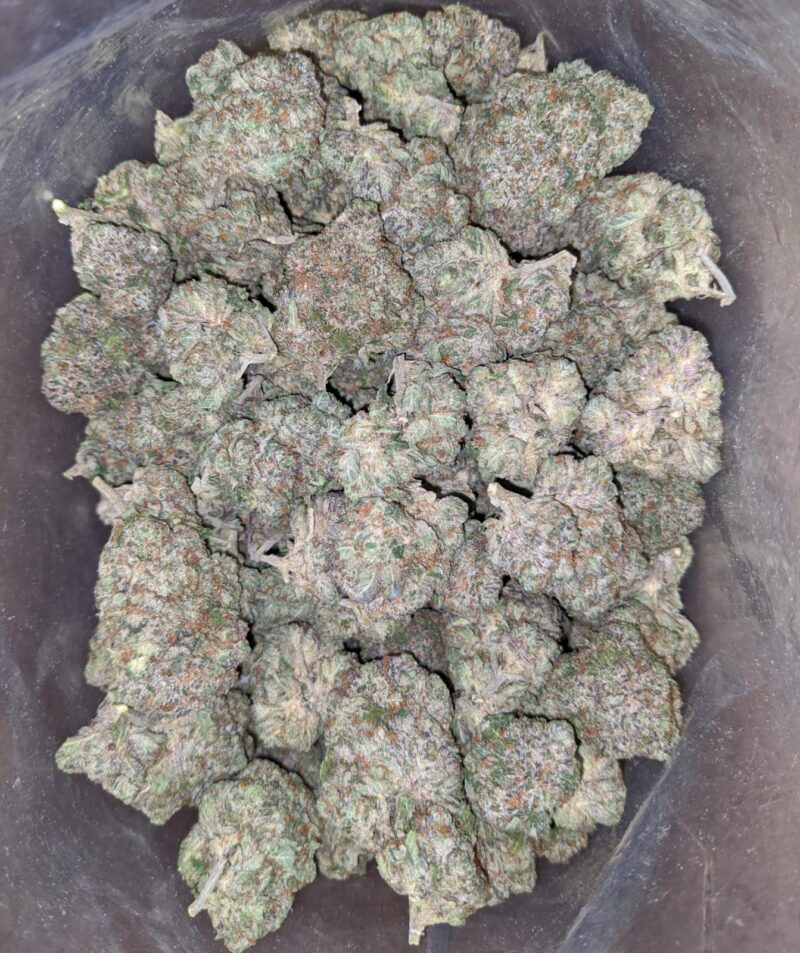 Tony’s Pink Rockstar - Image 6