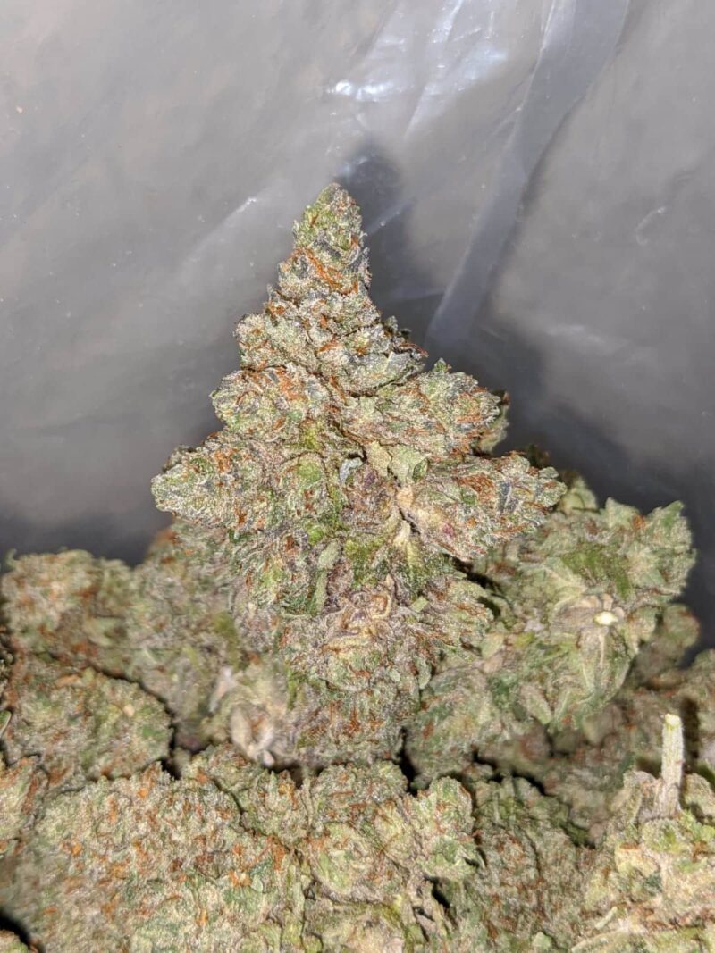 Tony’s Purple Kush - Image 7