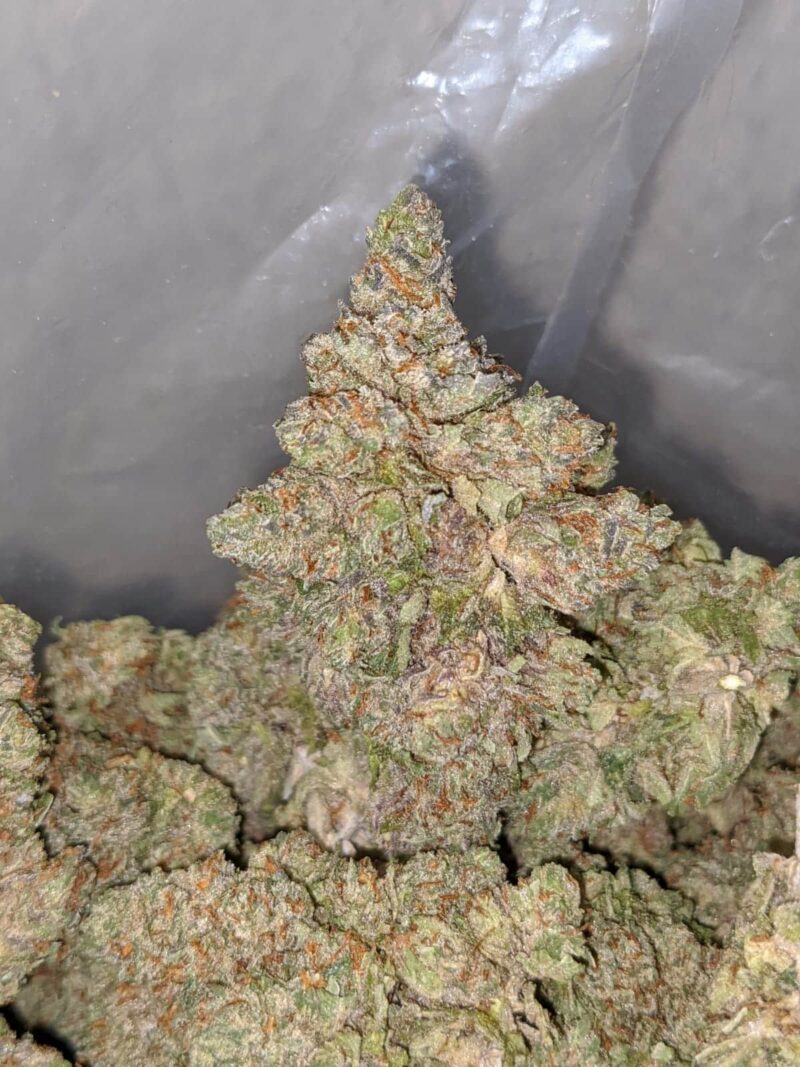 Tony’s Purple Kush - Image 4
